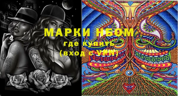 ПСИЛОЦИБИНОВЫЕ ГРИБЫ Новозыбков